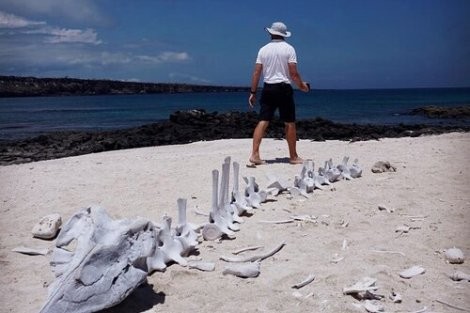 Review img # 35 of the yacht ELVIS MAGIC