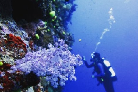 Review img # 47 of the yacht ELVIS MAGIC