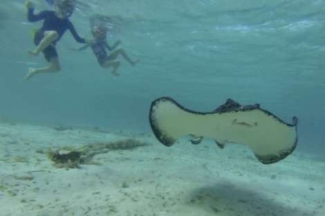 Review img # 46 of the yacht Groovy