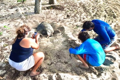 Review img # 41 of the yacht Groovy