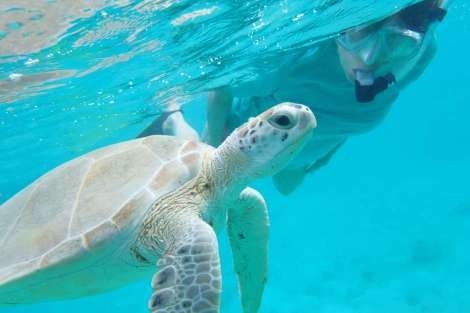 Review img # 15 of the yacht Groovy