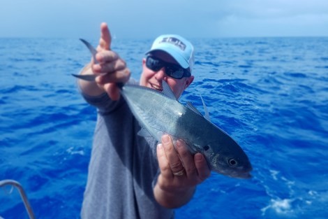 Review img # 61 of the yacht ODYSSEA