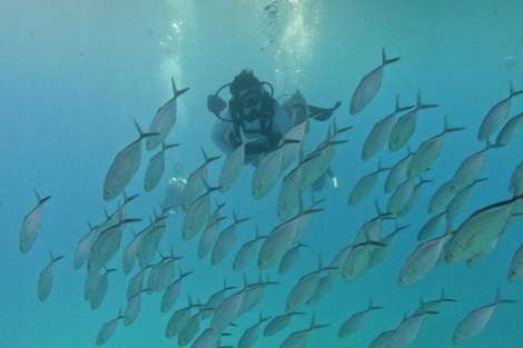 Review img # 5 of the yacht SCUBA DOO