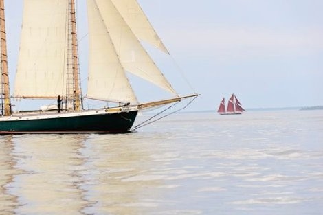 Review img # 5 of the yacht TREE OF LIFE