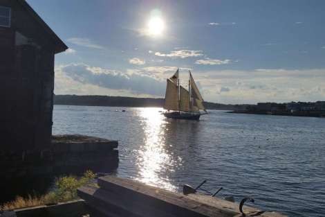 Review img # 6 of the yacht TREE OF LIFE