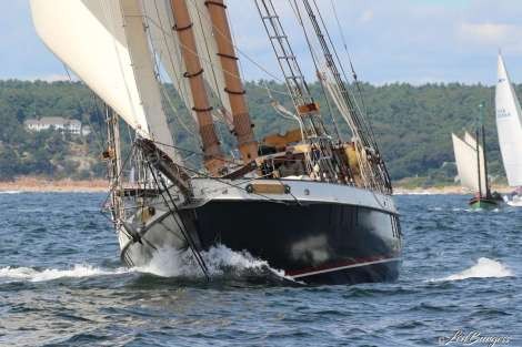 Review img # 14 of the yacht TREE OF LIFE