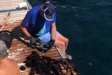 Review img # 4 of the yacht VULPINO