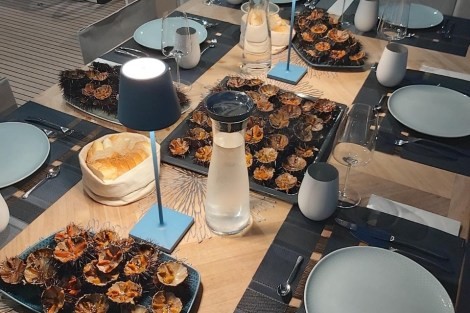 Review img # 6 of the yacht VULPINO